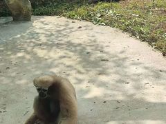 -杭州野生动物世界