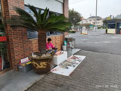 -老四川平头酸菜鱼(衙前店)