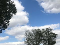 -崇明东平国家森林公园烧烤房车露营地