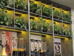 -517烧烤·龙虾·海鲜大排档(万象都荟店)
