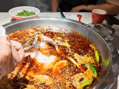 -蜀滋香鲜鱼美蛙火锅(339店)
