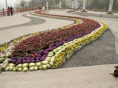 -大渡口区义渡公园