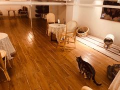 -猫友咖啡店(玉林西路店)