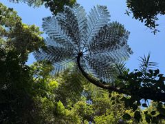 -热带雨林自然公园