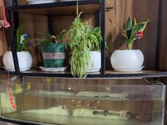 -顶好快餐(市府店)