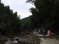 -花溪风景区