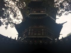 -上海佘山国家森林公园西佘山园