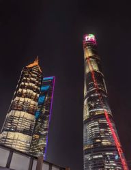 -巍阁高端月子会所