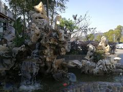 -呼吸森林·生态农庄农家乐私房菜