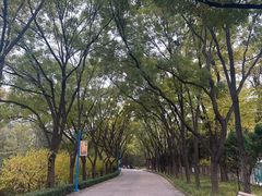 -森林公园(尖草坪区)