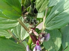 -南通博物苑-崇川人民公园