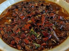 -陈麻婆豆腐总店