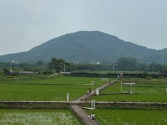 -风云岭森林公园