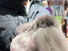 -FAELING PETS美天灵宠物(富力广场店)