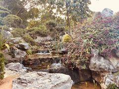 -东莞植物园