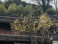 -宁波市保国寺古建筑博物馆