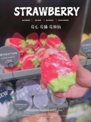 -STENDERS施丹兰