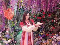 -正佳雨林生态植物园
