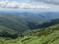 -凤凰山国家森林公园
