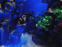 -印巷里主题餐厅(马鞍山店)