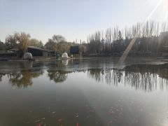 -金城公园