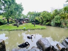 -上海野生动物园
