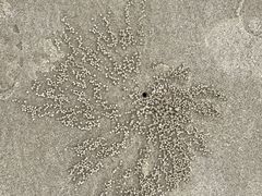 -北海市海滨公园