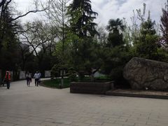-莲湖公园
