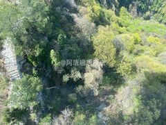 -少华山国家森林公园