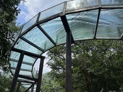 -龙井峡漂流