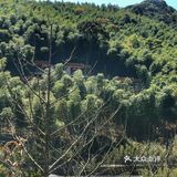 打卡国内首家The Chedi 【宁海安岚酒店】