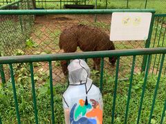 -秦皇岛野生动物园
