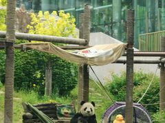 -大连森林动物园