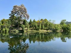 -贵阳市花溪国家城市湿地公园