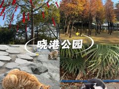 -晓港公园