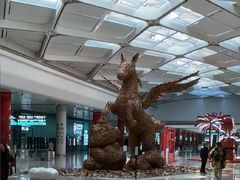 -杭州萧山国际机场