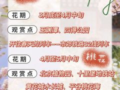 -沉浸北京·团建旅行·密室剧本杀·年会会议轰趴拓展
