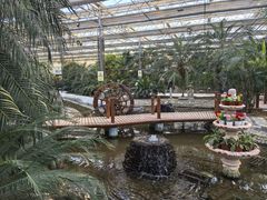 -南和农业嘉年华