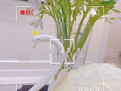 -西檬树SIMON·T轻奢蛋糕(大东方Max店)