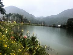 -广州市石门国家森林公园