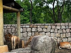 -苏州上方山国家森林公园