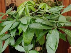 -金时代顺风大酒店(金山店)