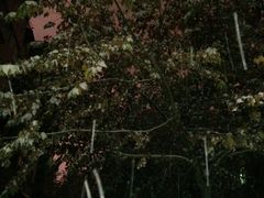 -茶肆(袁家村店)