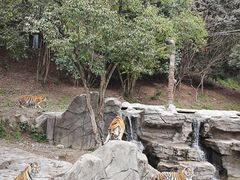 -宁波野生动物园