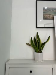 -魔丽卡·中国式美甲美睫