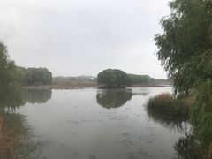 -梁鸿国家湿地公园