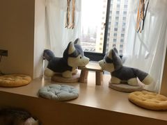 -Husky Go! 哈士奇体验馆·宠物咖啡厅狗咖