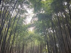 -敬亭山风景名胜区