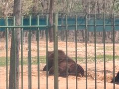 -秦皇岛野生动物园