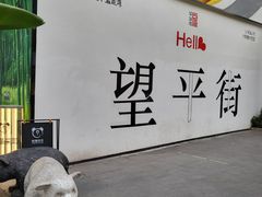 -独食火锅·半米屋台(望平街店)